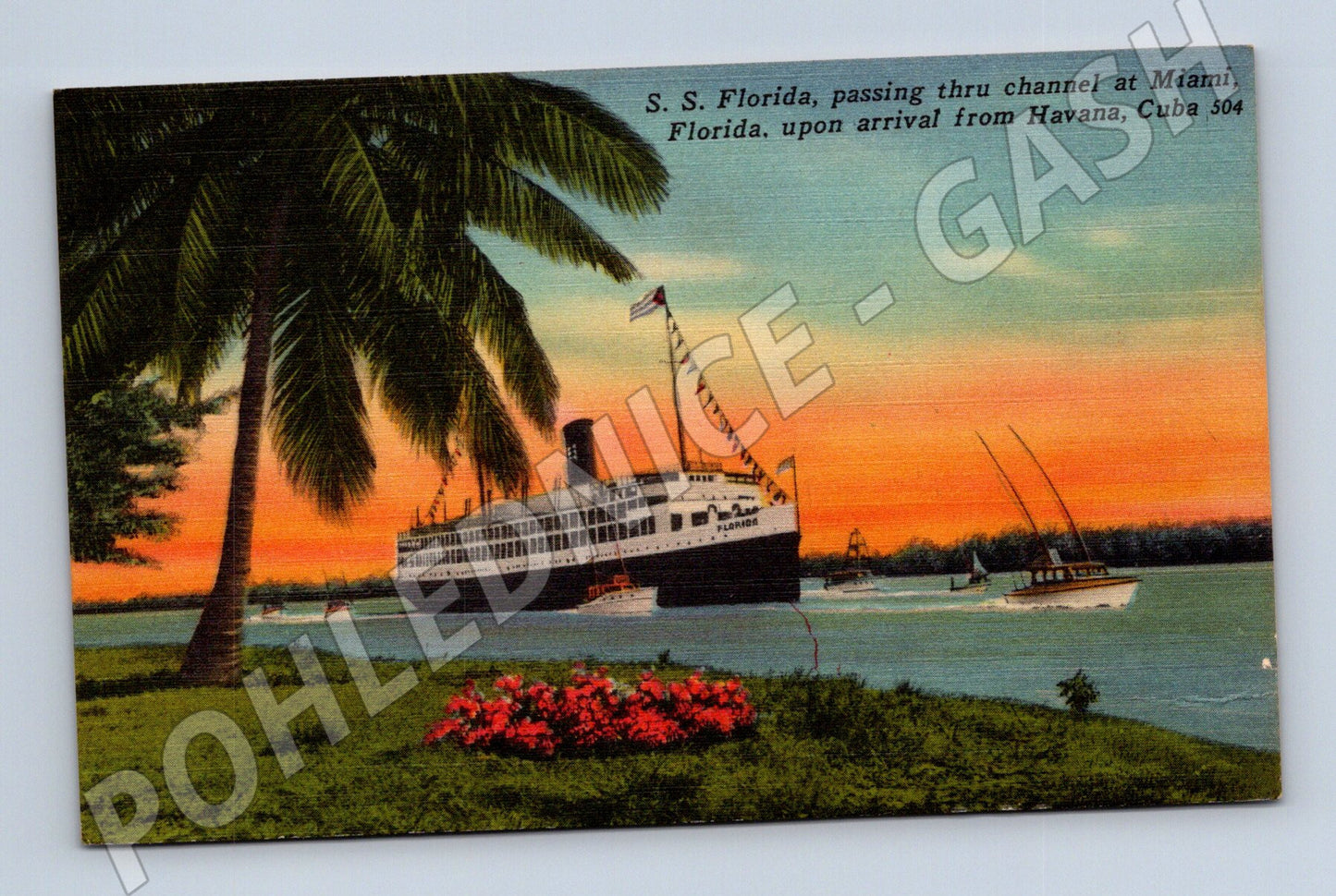 Pohlednice SS Florida Miami Havana 1956 (M18111)