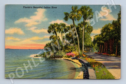 Pohlednice Florida Indian River 1954 (M18112)