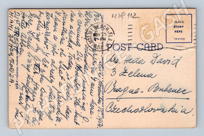 Pohlednice Florida Indian River 1954 (M18112)