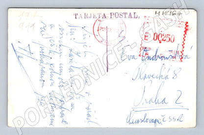 Pohlednice Chile řeka Petrohué sopka Osorno (M18164)