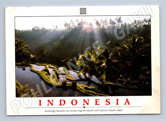 Pohlednice Indonésie rýžové terasy 1993 (M18167)