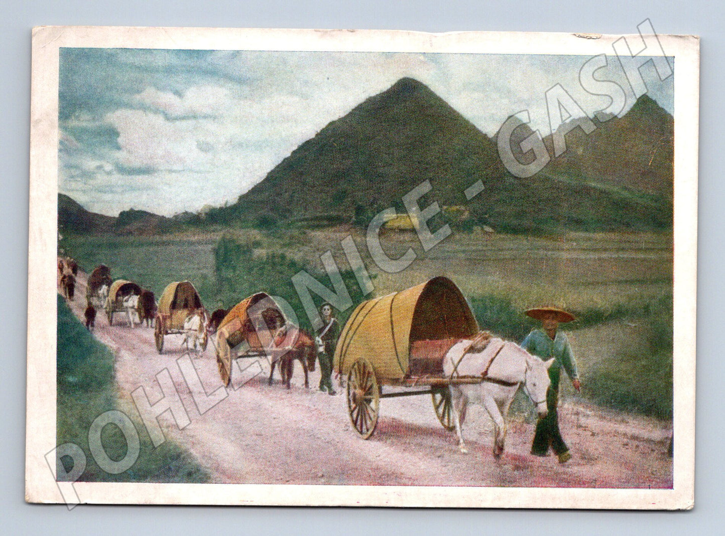 Pohlednice Vietnam karavana vozů Quảng-Uyên (M18188)