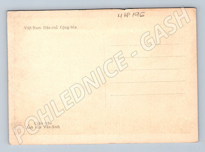 Pohlednice Vietnam chlapec na buvolu etno (M18196)