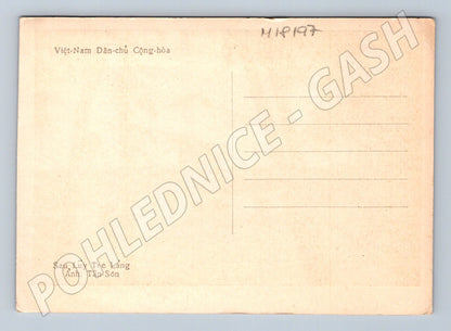 Pohlednice Vietnam rýžové pole a vesnický život (M18197)