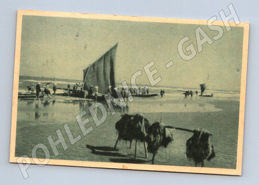 Pohlednice Vietnam rybáři Sầm Sơn 1961 (M18254)