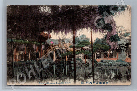 Pohlednice Japonsko Kameido Tokyo vistárie a most (M18262)