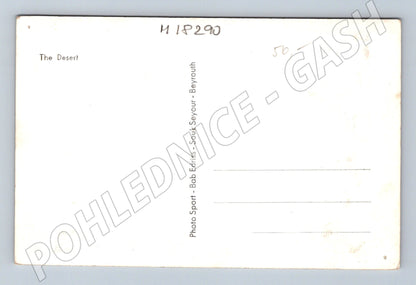 Pohlednice Afrika poušť karavana velbloudů (M18290)