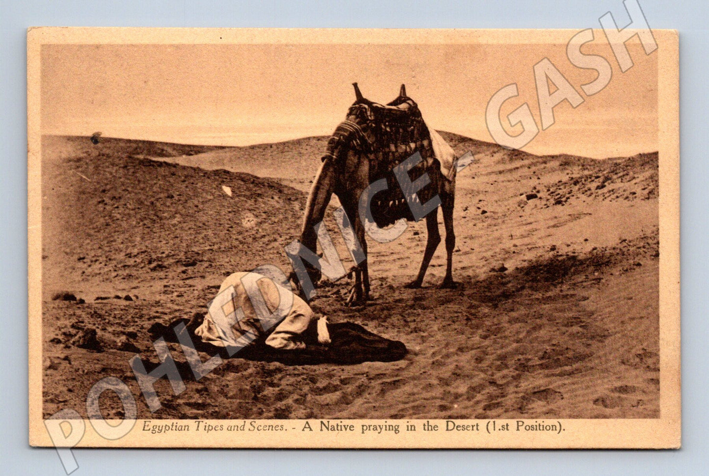 Pohlednice Egypt modlitba v poušti velbloud (M18292)