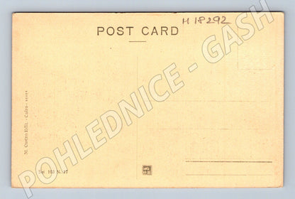 Pohlednice Egypt modlitba v poušti velbloud (M18292)