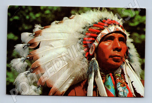 Pohlednice Indiánský náčelník USA 1964 (M18327)
