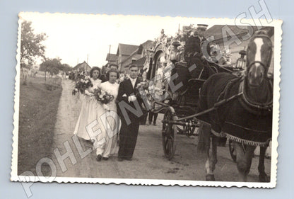 Pohlednice svatební průvod koňský povoz (M18341)