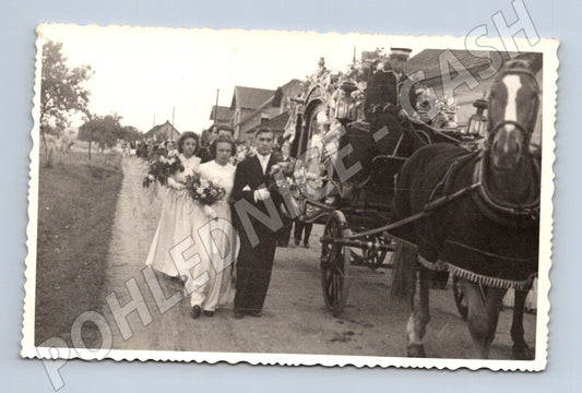 Pohlednice svatební průvod koňský povoz (M18341)