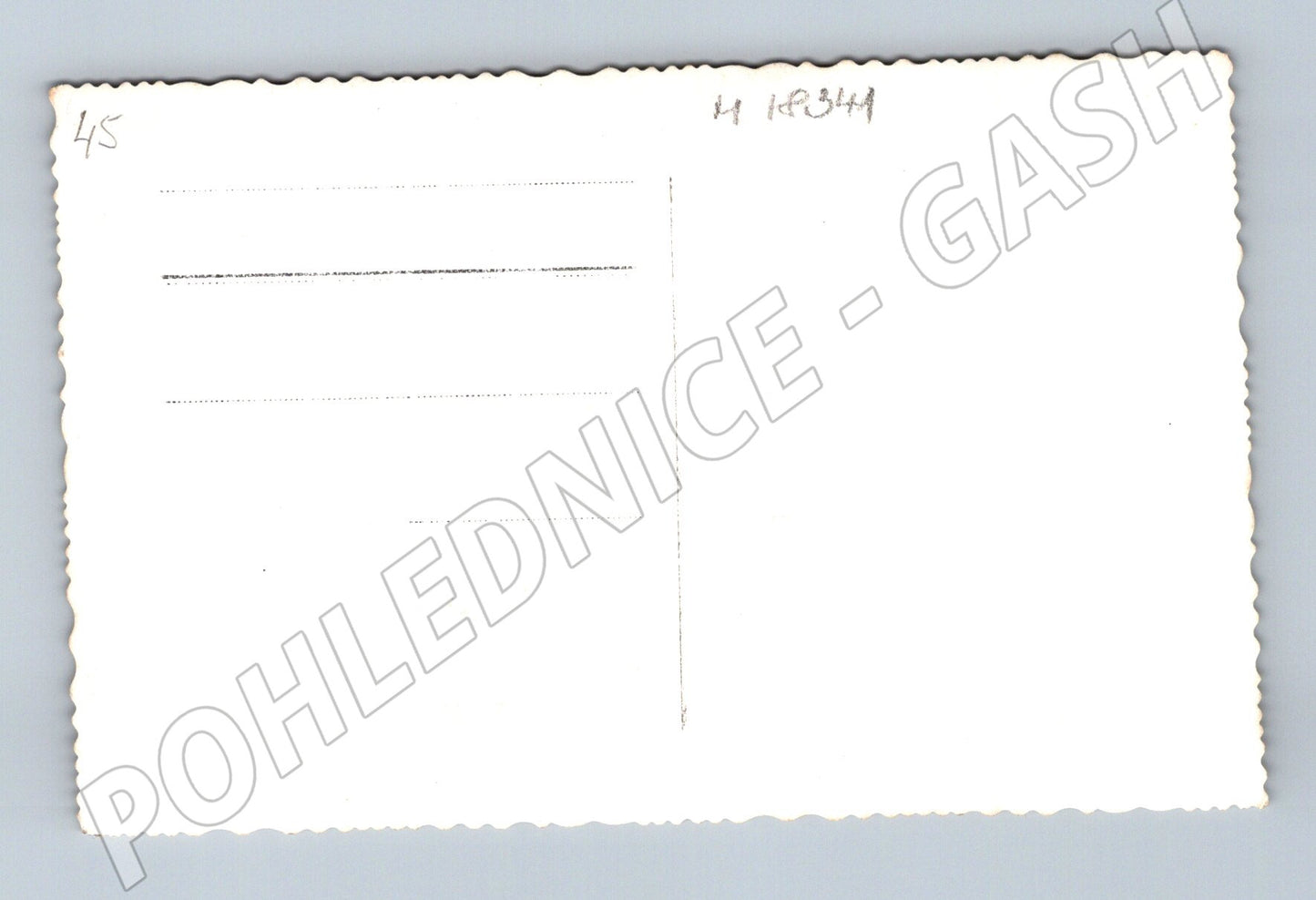 Pohlednice svatební průvod koňský povoz (M18341)