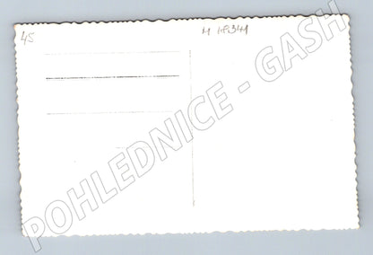 Pohlednice svatební průvod koňský povoz (M18341)