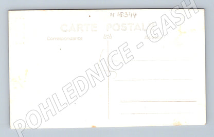 Pohlednice portrét novomanželé čb (M18344)