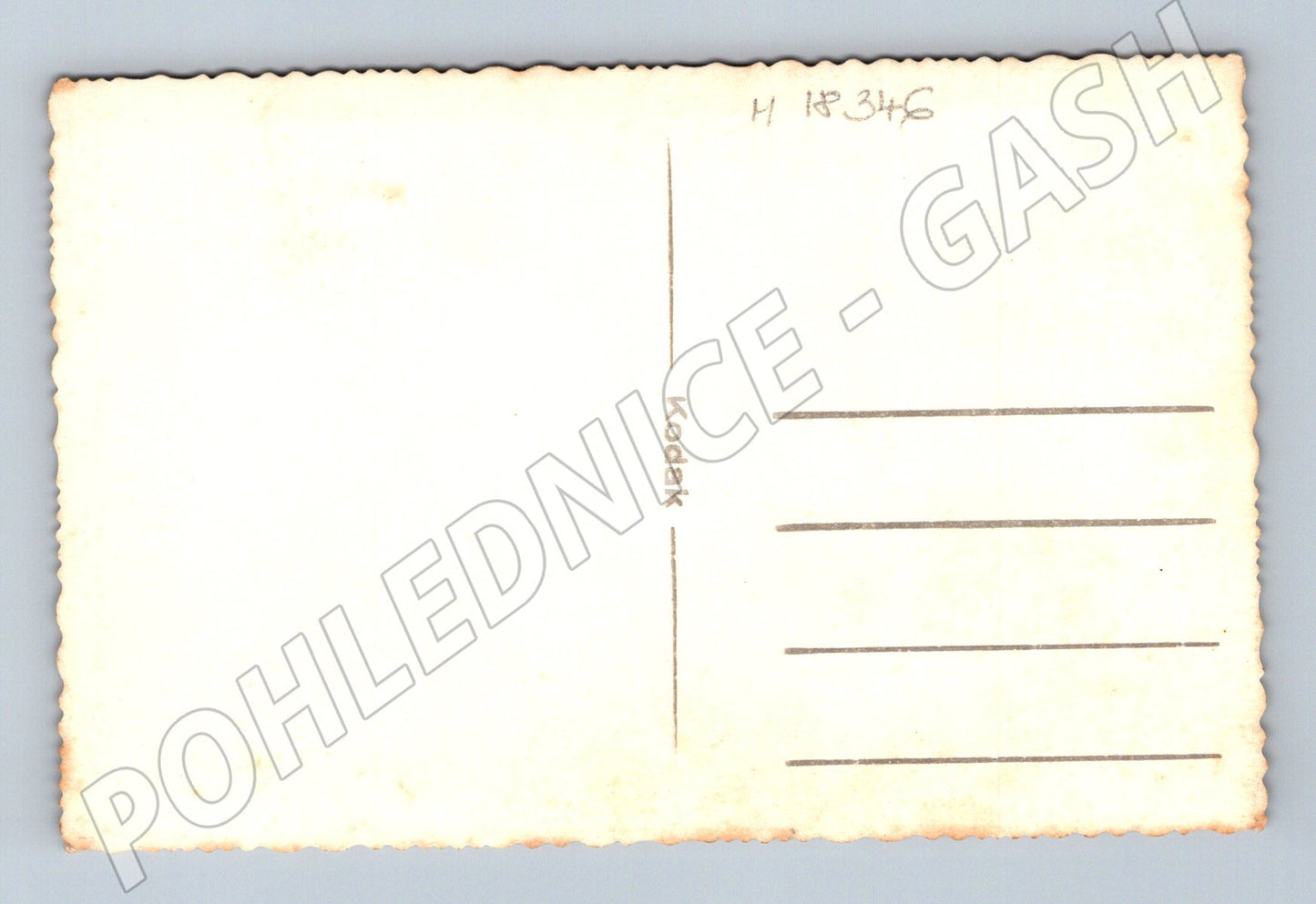 Pohlednice svatební skupina Frendl Žďár (M18346)