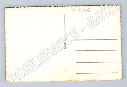 Pohlednice svatební skupina Frendl Žďár (M18346)