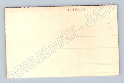 Pohlednice nevěsta a ženich 1 pol 20 stol (M18347)