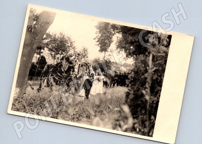 Pohlednice koňský povoz venkov čb (M18349)