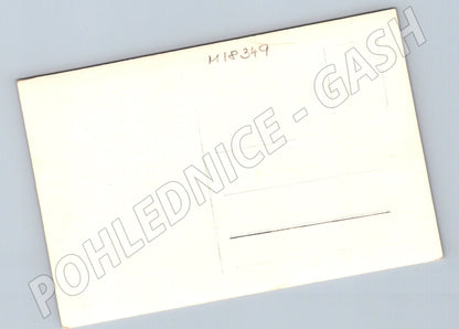 Pohlednice koňský povoz venkov čb (M18349)