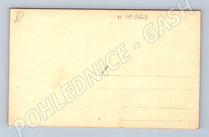 Pohlednice herečka květiny Ostrava (M18363)