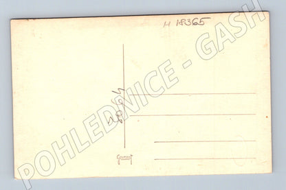 Pohlednice svatební portrét malý formát (M18365)