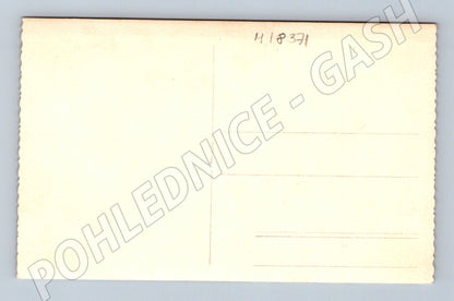 Pohlednice svatební novomanželé Petrů Příbram (M18371)