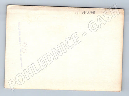 Pohlednice skupina osob cca 1950 (M18373)