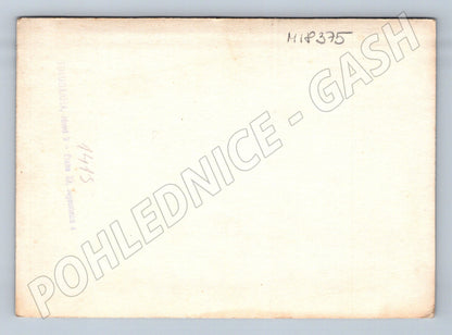 Pohlednice svatební skupina ČR do 1950 (M18375)