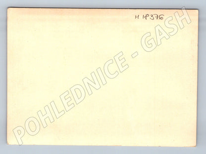 Pohlednice ženich v uniformě nevěsta (M18376)