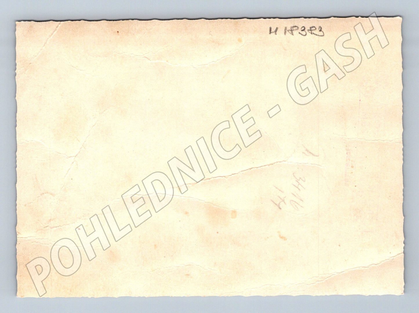 Pohlednice svatební rodinná před 1950 (M18383)