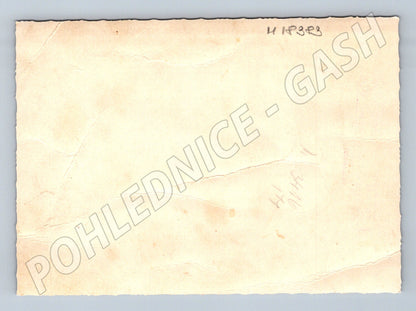 Pohlednice svatební rodinná před 1950 (M18383)