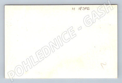 Pohlednice svatební ženich nevěsta čb (M18386)