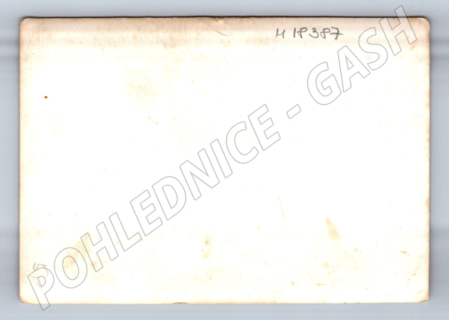 Pohlednice svatební s dětmi čb (M18387)