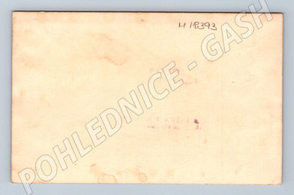 Pohlednice svatební novomanželé a hosté (M18393)