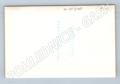 Pohlednice svatební skupina ČSR 1940 50 (M18398)