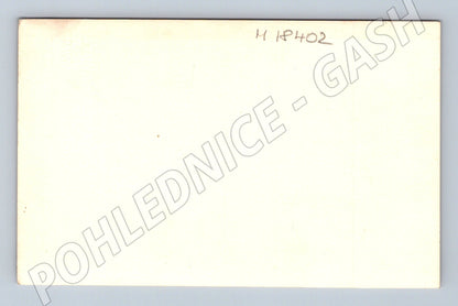 Pohlednice svatební ženich a nevěsta portrét (M18402)