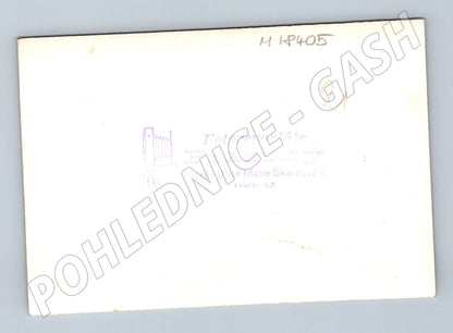 Pohlednice Plzeň svatební skupina do 1950 (M18405)