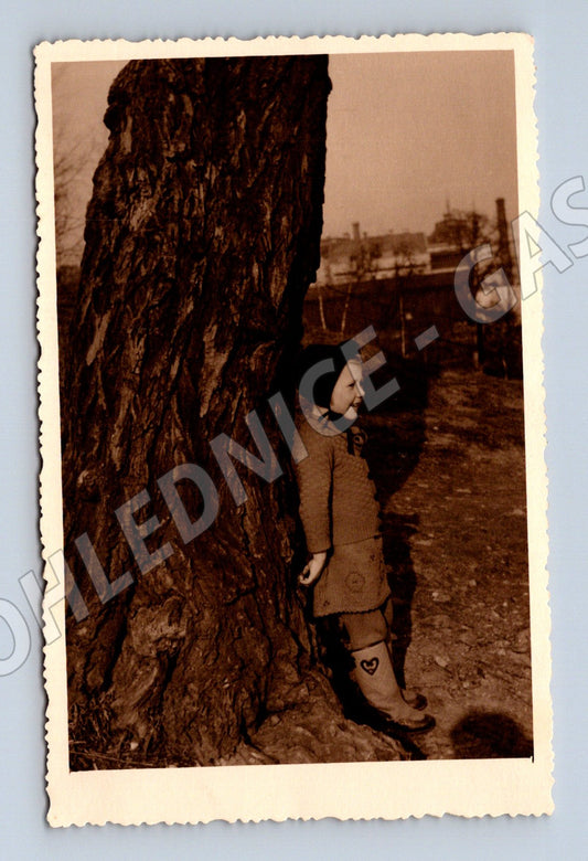 Pohlednice osoba pod stromem Kodak ČR do 1950 (M18443)