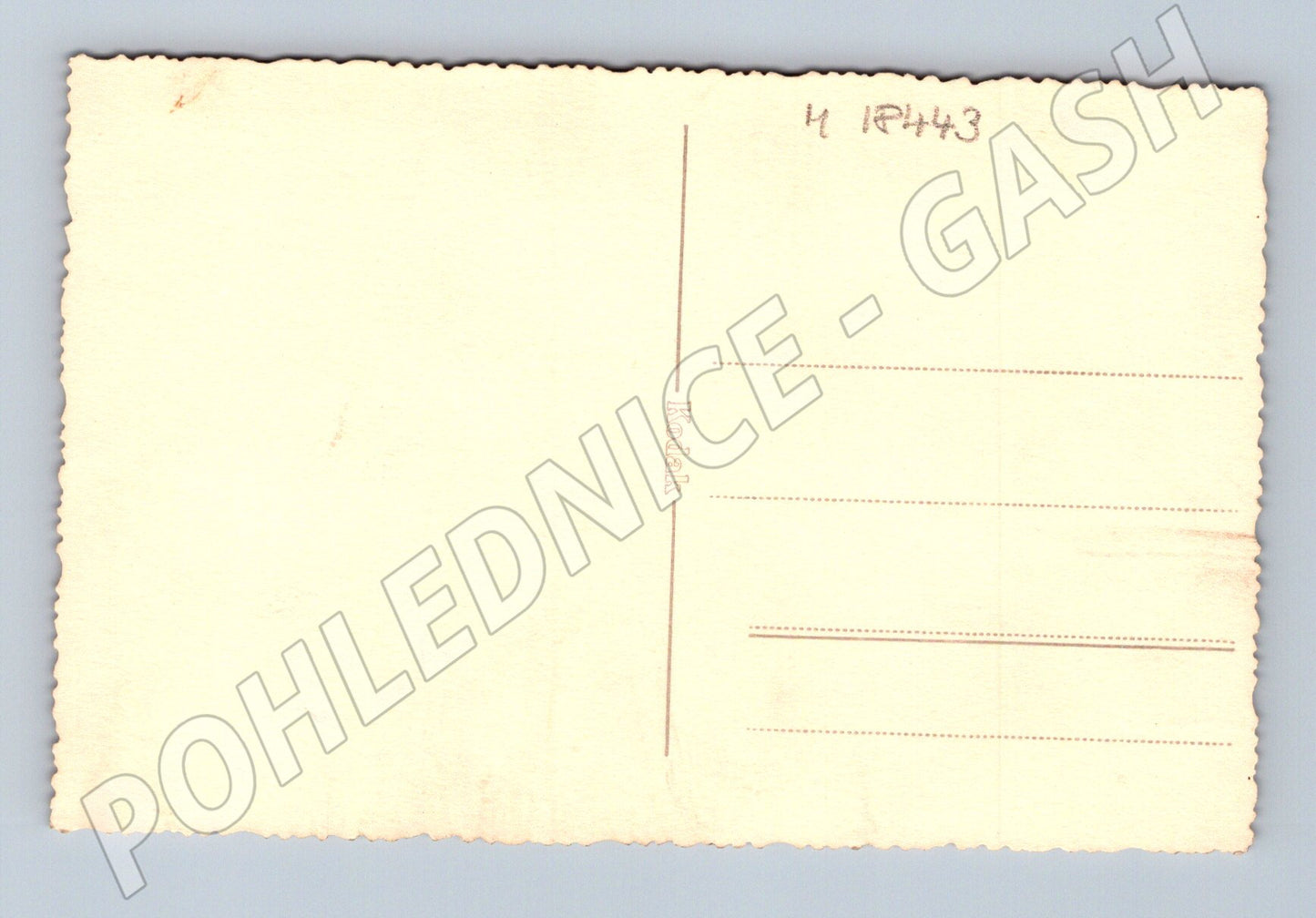 Pohlednice osoba pod stromem Kodak ČR do 1950 (M18443)