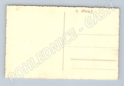 Pohlednice osoba pod stromem Kodak ČR do 1950 (M18443)