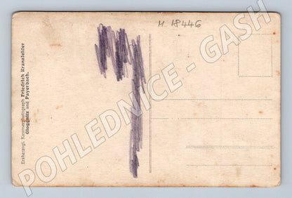 Pohlednice portrét dvou dětí Friedrich Kranzfelder (M18446)