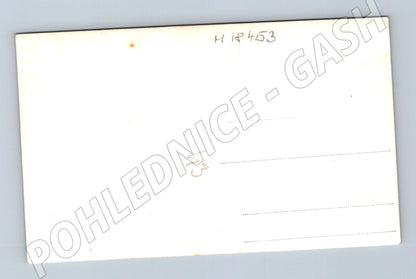 Pohlednice dítě v parku čb cca 1940s (M18453)
