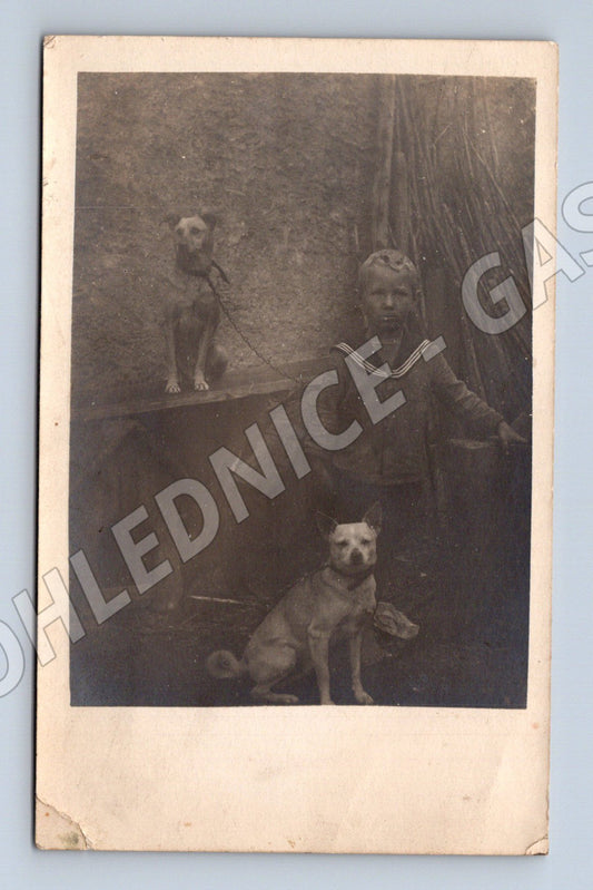 Pohlednice dítě se psy čb cca 1920 40 (M18456)