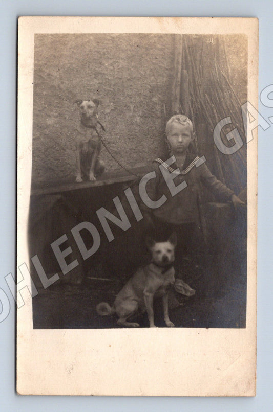 Pohlednice dítě a psi u boudy čb sběratelská (M18457)