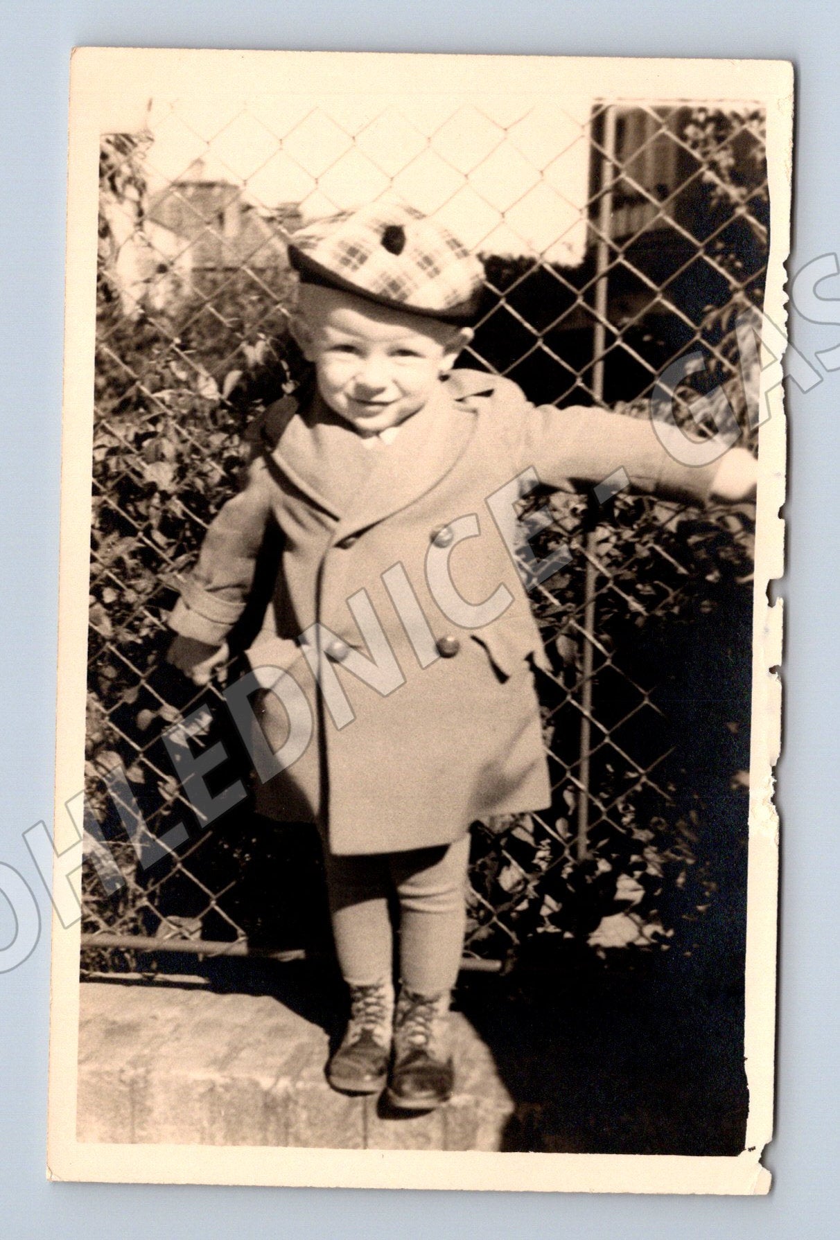 Pohlednice dítě u plotu čb malý formát do 1950 (M18468)