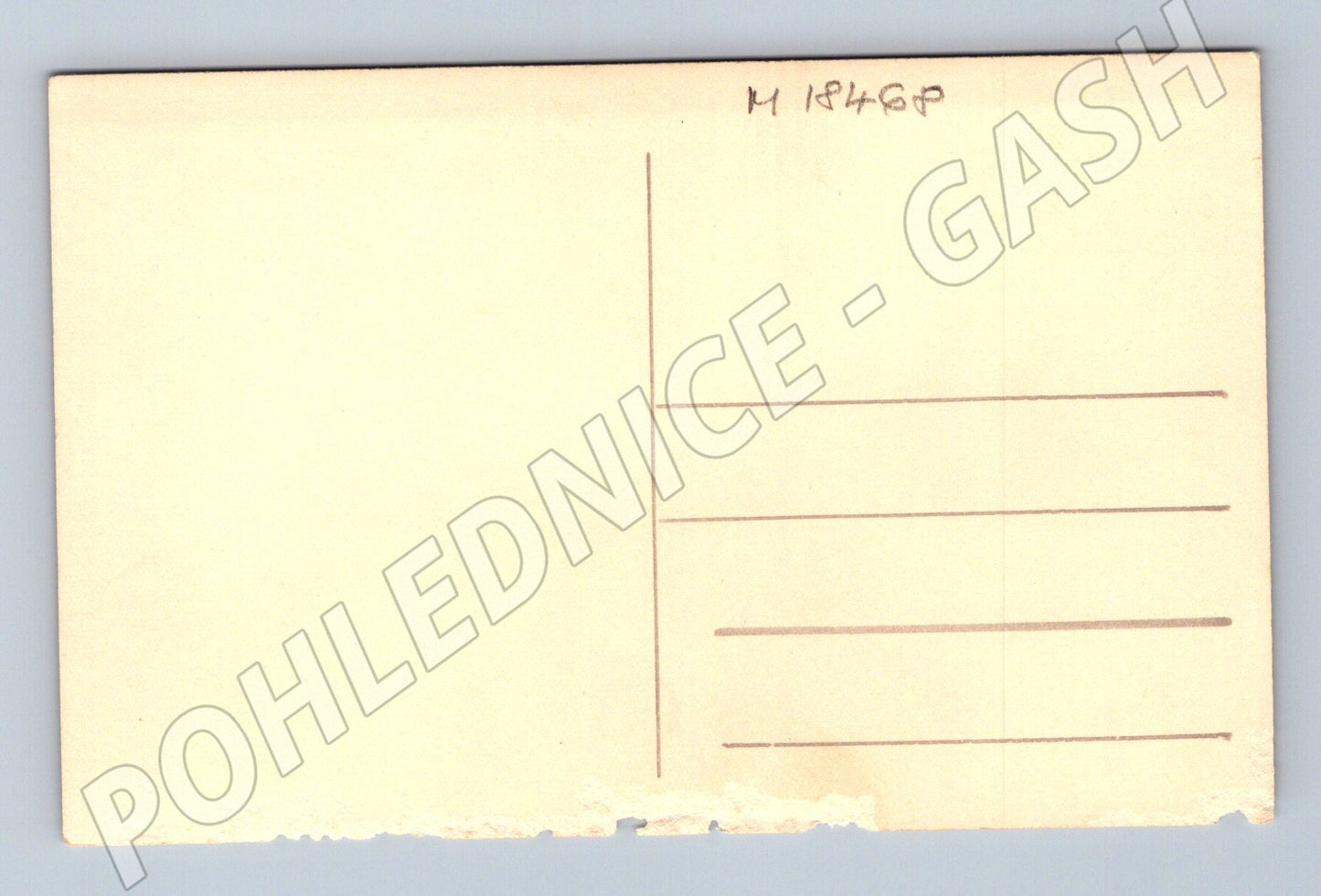 Pohlednice dítě u plotu čb malý formát do 1950 (M18468)