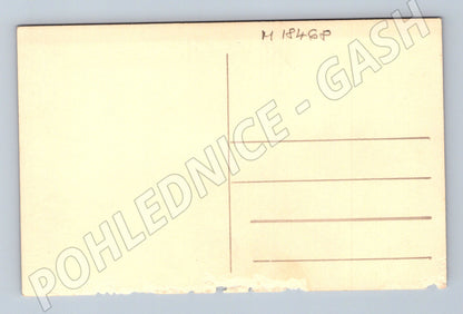 Pohlednice dítě u plotu čb malý formát do 1950 (M18468)