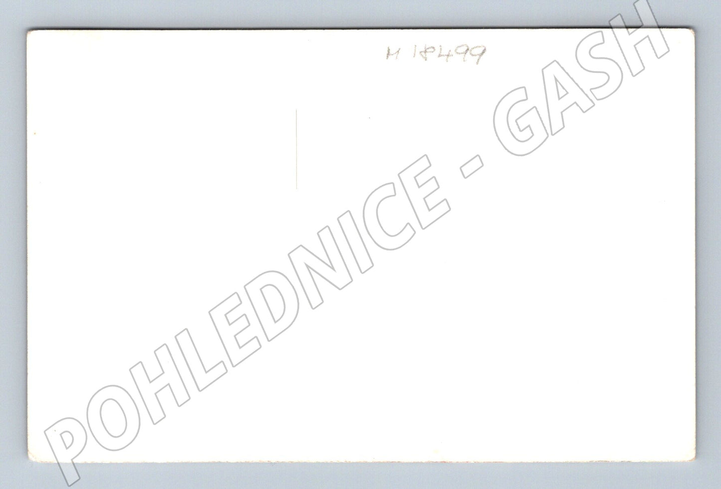 Pohlednice rodinná zahrada dítě ČSR do 1950 (M18499)
