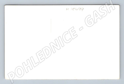 Pohlednice rodinná zahrada dítě ČSR do 1950 (M18499)